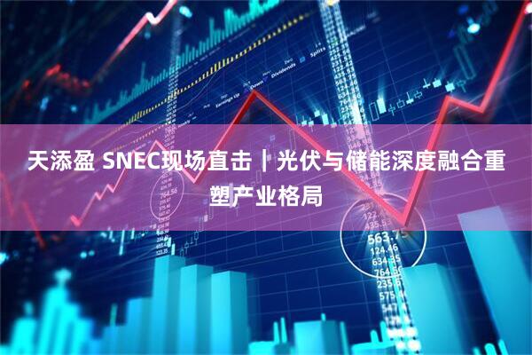 天添盈 SNEC现场直击｜光伏与储能深度融合重塑产业格局