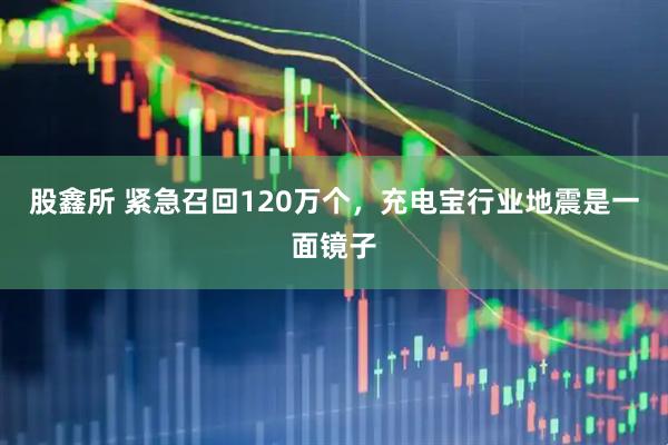 股鑫所 紧急召回120万个，充电宝行业地震是一面镜子