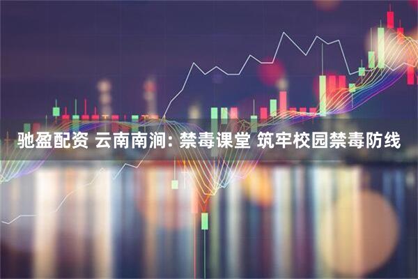驰盈配资 云南南涧: 禁毒课堂 筑牢校园禁毒防线