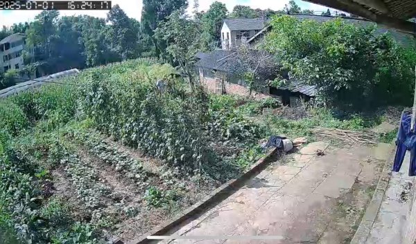 欧皇证券 九旬老人中暑昏厥超半小时 镇村干部走访途中发现及时施救｜看见正能量