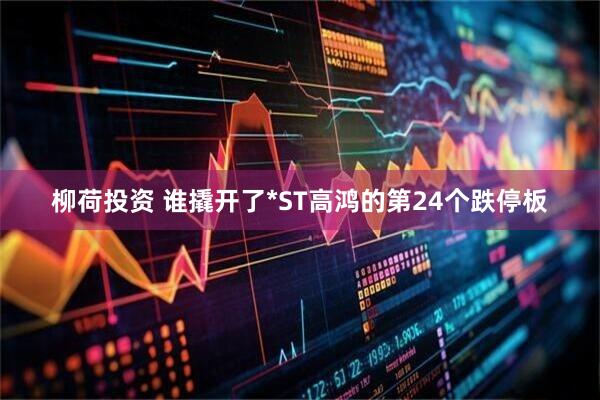 柳荷投资 谁撬开了*ST高鸿的第24个跌停板