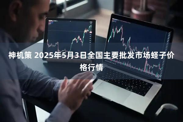 神机策 2025年5月3日全国主要批发市场蛏子价格行情