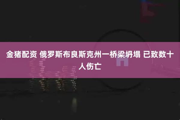 金猪配资 俄罗斯布良斯克州一桥梁坍塌 已致数十人伤亡